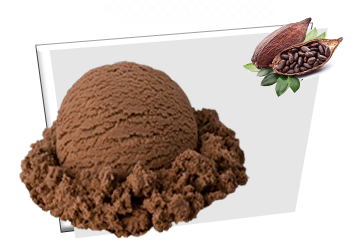 Cocoa Flavor ice cream