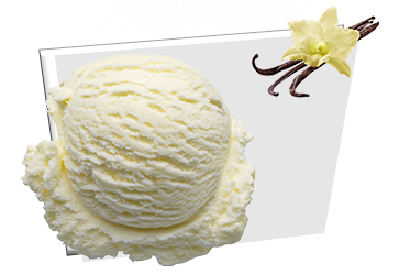 Vanilla Flavor ice cream